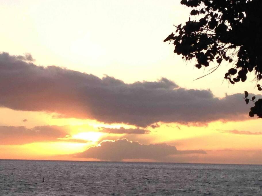 Unrivaled S Kihei Maui Location! Walk To It All! Exteriér fotografie